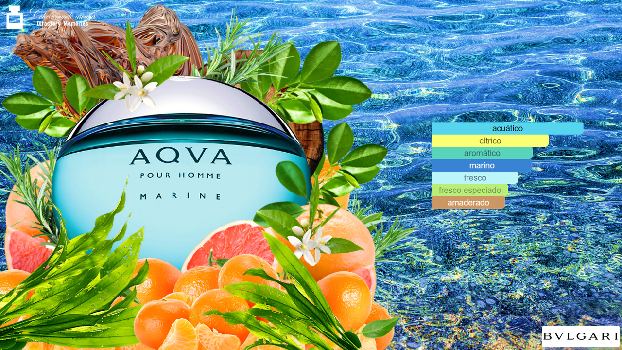 Decant Bvlgari Aqva Pour Homme Marine - Imagen 3