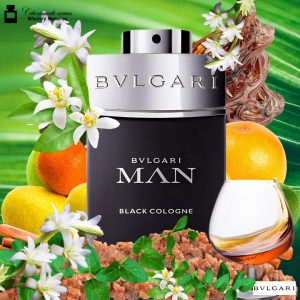 Descripción de Bvlgari Man in Black Cologne (4)
