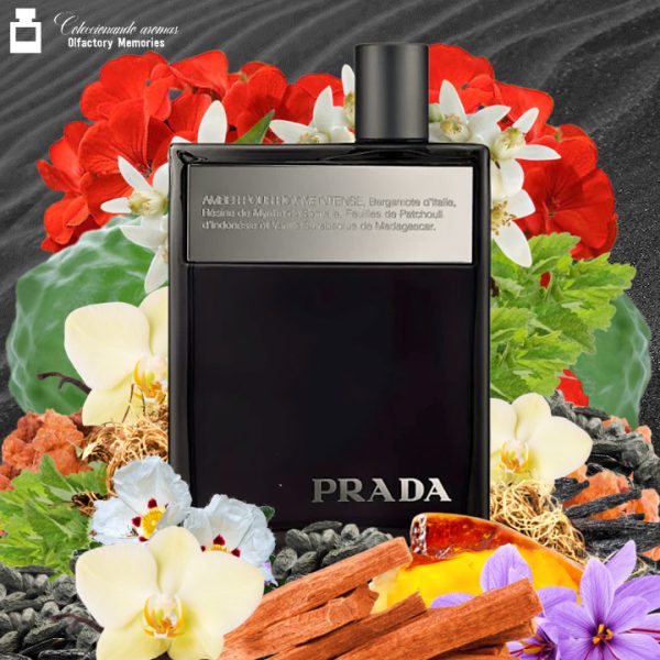 Decant Prada Amber Pour Homme Intense - Imagen 2