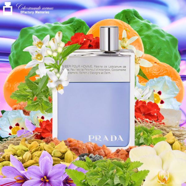 Decant Prada Amber Pour Homme de Prada - Imagen 2