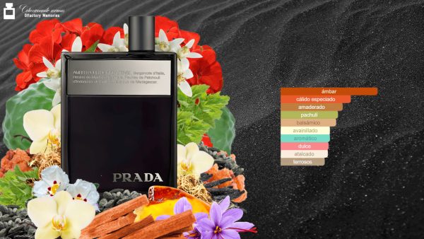 Decant Prada Amber Pour Homme Intense - Imagen 4