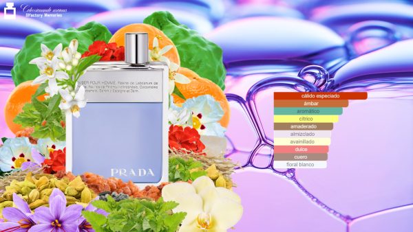 Decant Prada Amber Pour Homme de Prada - Imagen 4