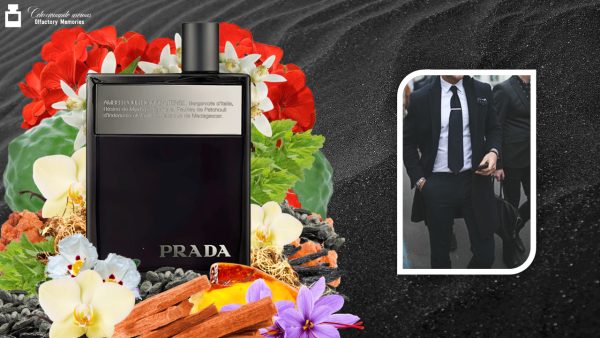 Decant Prada Amber Pour Homme Intense - Imagen 5