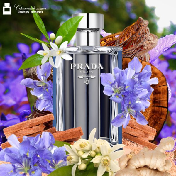 Decant Prada L'Homme L'Eau de Prada - Imagen 2