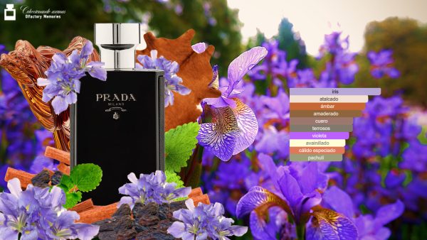 Decant Prada L'Homme Intense - Imagen 4