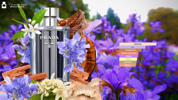 Decant Prada L'Homme L'Eau de Prada - Imagen 4