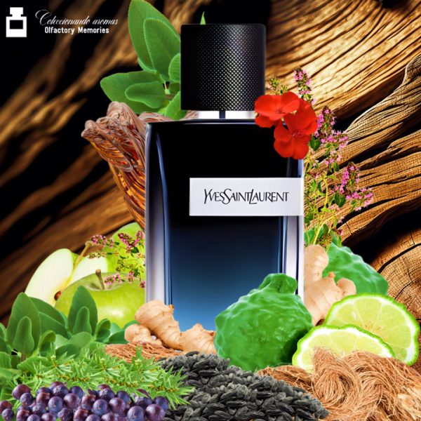 Decant Y Eau de Parfum de Yves Saint Laurent - Imagen 2