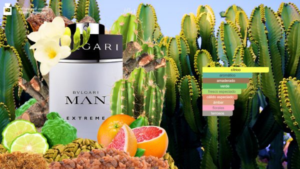 Decant Bvlgari Man Extreme de Bvlgari - Imagen 3