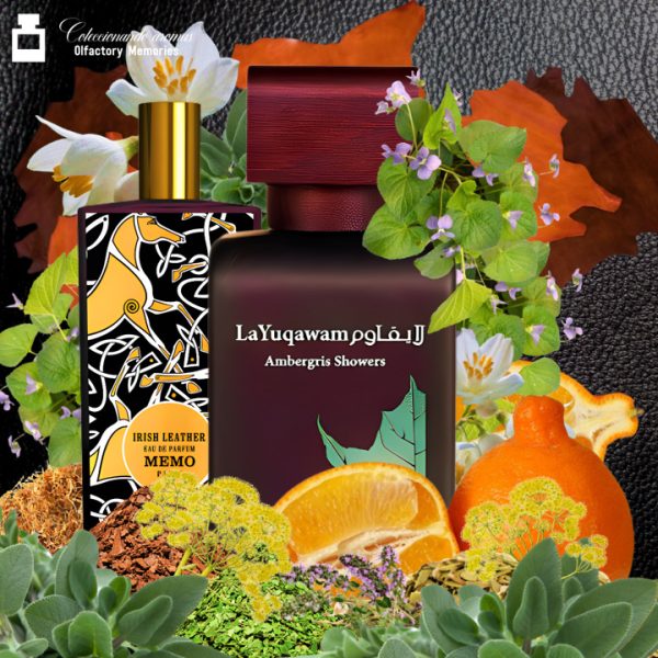 Decant La Yuqawam Ambergris Showers Pour Homme de Rasasi - Imagen 2