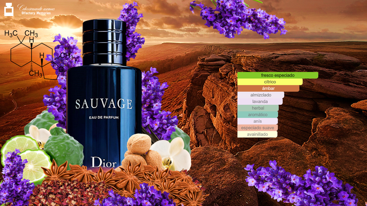 Sauvage discount dior descripcion