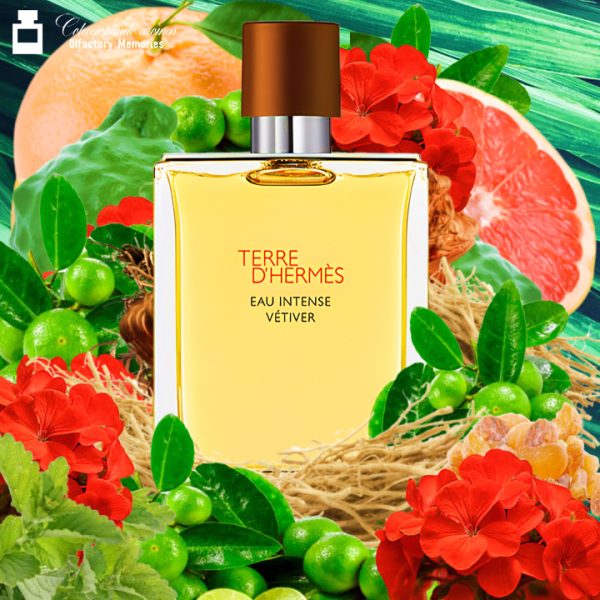 Decant Terre D'Hermes Eau Intense Vetiver de Hermès - Imagen 2