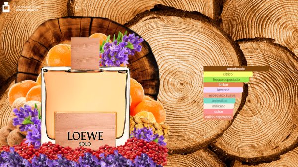 Decant Loewe Solo Cedro de Loewe - Imagen 3
