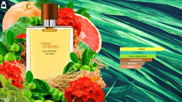 Decant Terre D'Hermes Eau Intense Vetiver de Hermès - Imagen 4