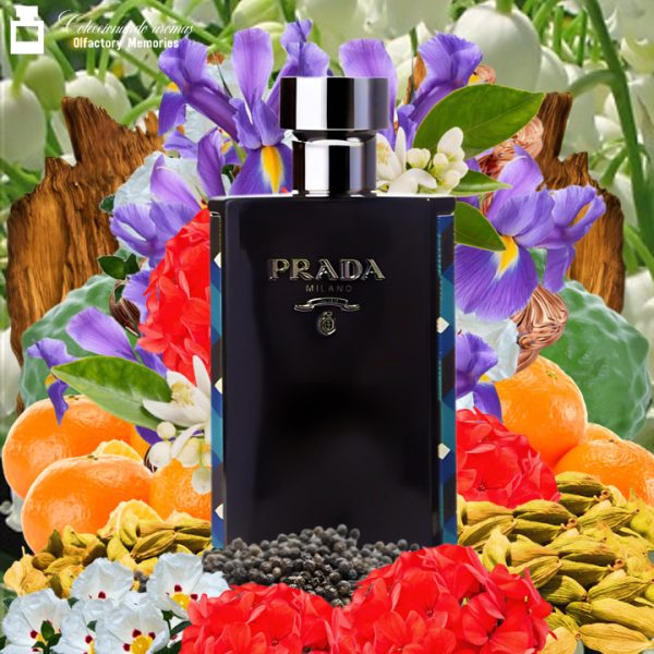 Decant Prada L'Homme Absolu de Prada - Imagen 2