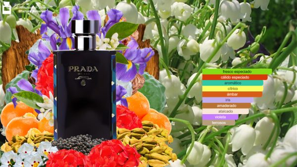 Decant Prada L'Homme Absolu de Prada - Imagen 4