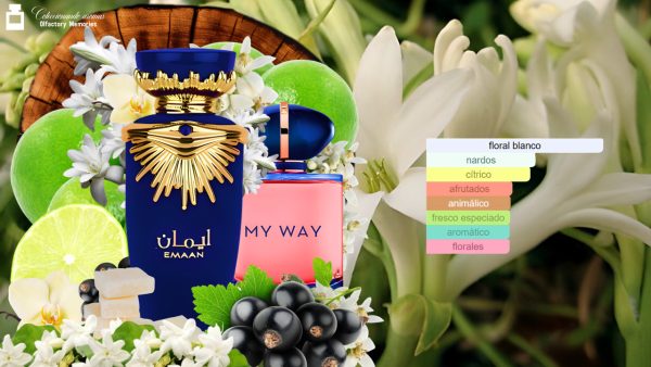 Decant Emaan de Lattafa Perfumes - Imagen 4