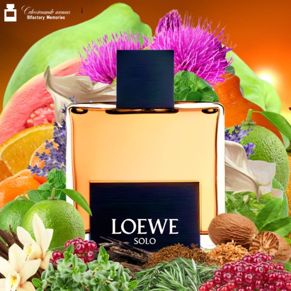 Decant Solo Loewe de Loewe - Imagen 2