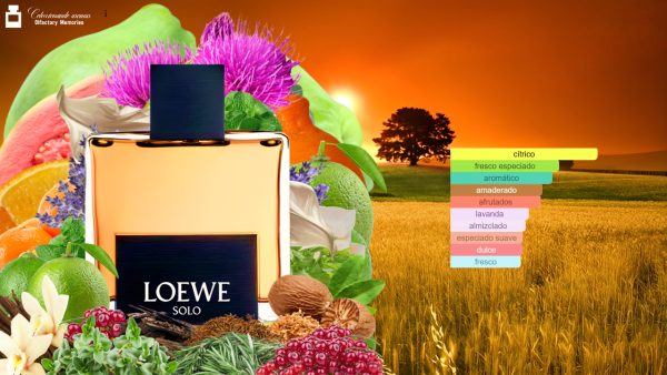 Decant Solo Loewe de Loewe - Imagen 4