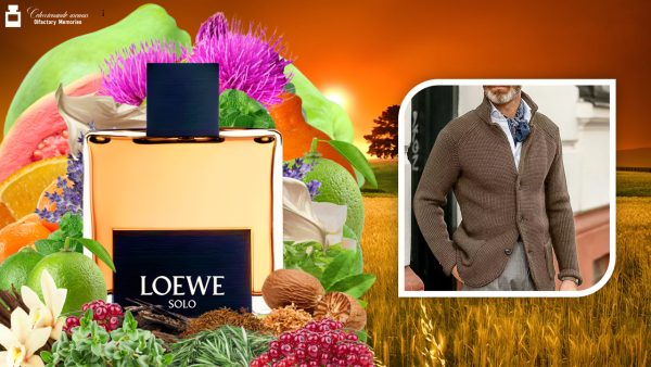 Decant Solo Loewe de Loewe - Imagen 5