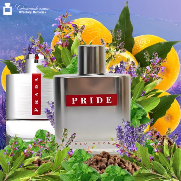 Decant Pride Red Moon de Fragrance World - Imagen 2