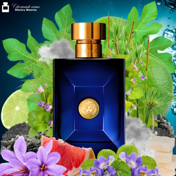 Decant Versace Pour Homme Dylan Blue de Versace - Imagen 2