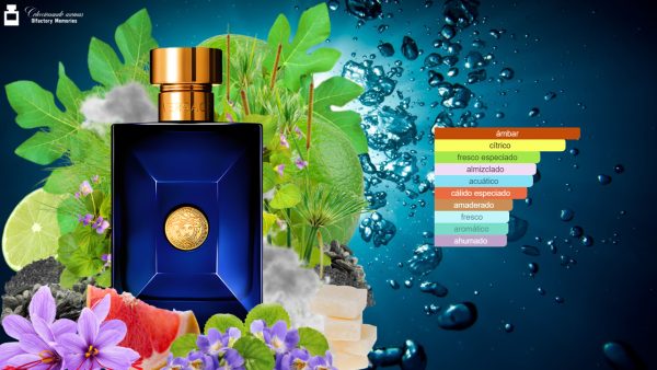 Decant Versace Pour Homme Dylan Blue de Versace - Imagen 4