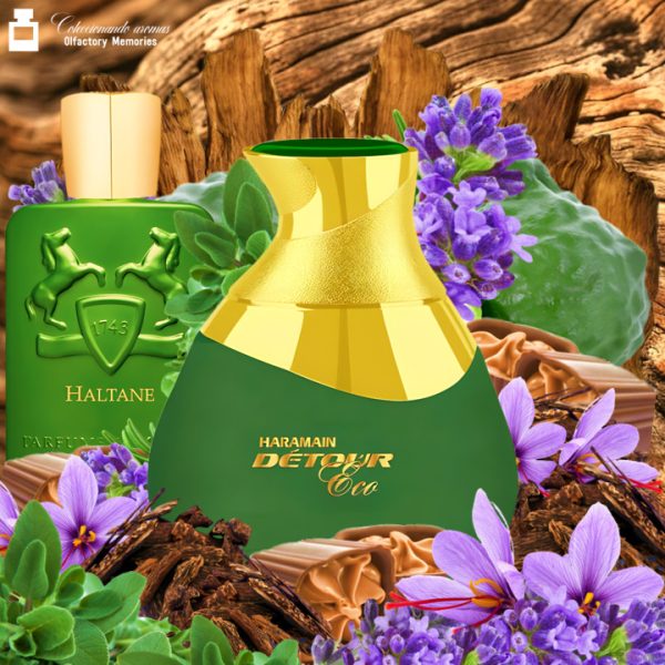 Decant Detour Eco de Al Haramain Perfumes - Imagen 2