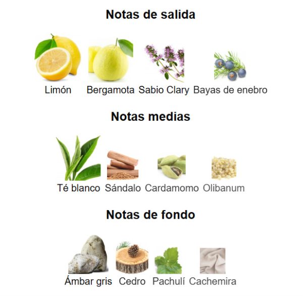 Decant Emeer de Lattafa Perfumes - Imagen 2