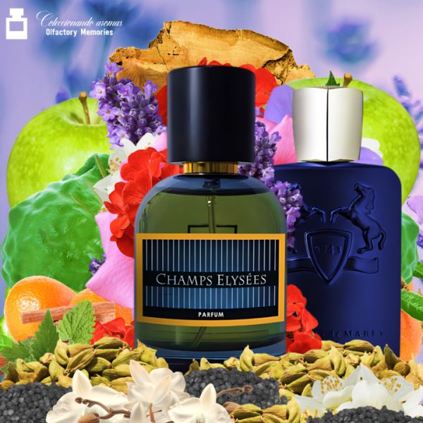Decant Champs Élysées de Pastor Fragrances - Imagen 2