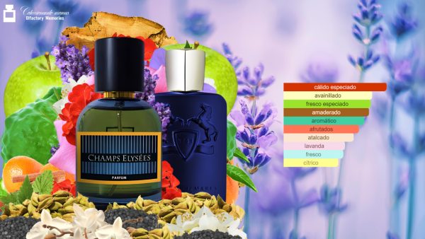 Decant Champs Élysées de Pastor Fragrances - Imagen 4