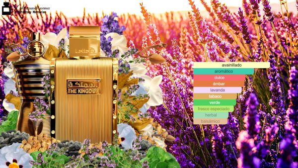 Decant The Kingdom de Lattafa Perfumes - Imagen 4