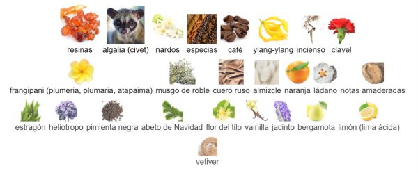 Decant Civet de Zoologist Perfumes - Imagen 2