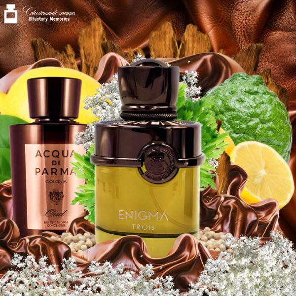 Decant Enigma Trois de Fragrance World - Imagen 2