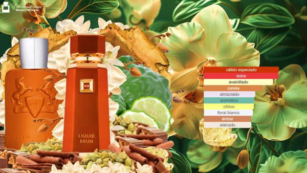 Decant French Avenue Liquid Brun de Fragrance World - Imagen 5