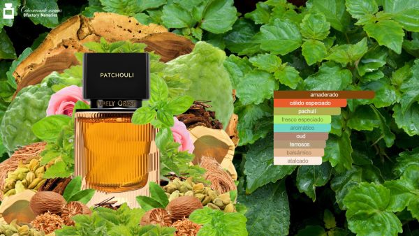 Decant Purely Orient Patchouli de Ajmal - Imagen 5
