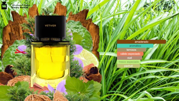 Decant Purely Orient Vetiver de Ajmal - Imagen 4