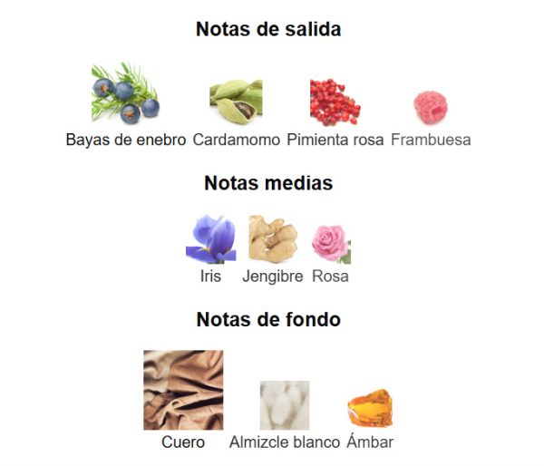 Decant Ana Abiyedh Leather de Lattafa Perfumes - Imagen 3