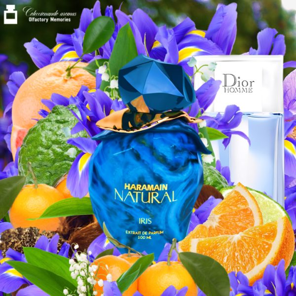 Decant Natural Iris de Al Haramain Perfumes - Imagen 3