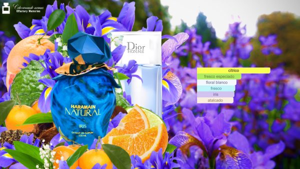 Decant Natural Iris de Al Haramain Perfumes - Imagen 5
