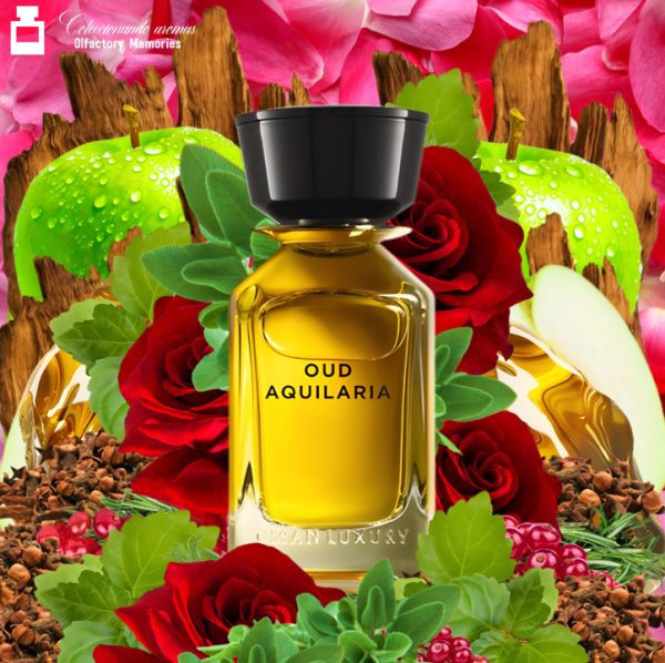 Decant Oud Aquilaria de Omanluxury - Imagen 2