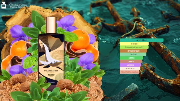 Decant Ocean Leather de Memo Paris - Imagen 4