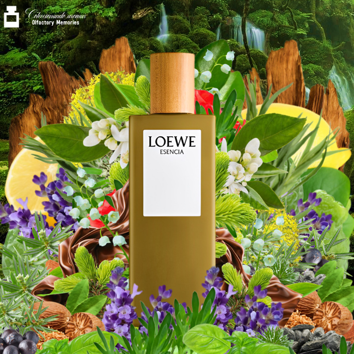 Decant Esencia pour Homme de Loewe - Imagen 2