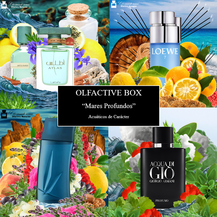 Olfactory Box “Mares Profundos – Acuáticos de Carácter” - Imagen 2