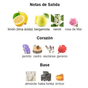 Pirámide Olfativa de Versace Pour Homme de Versace